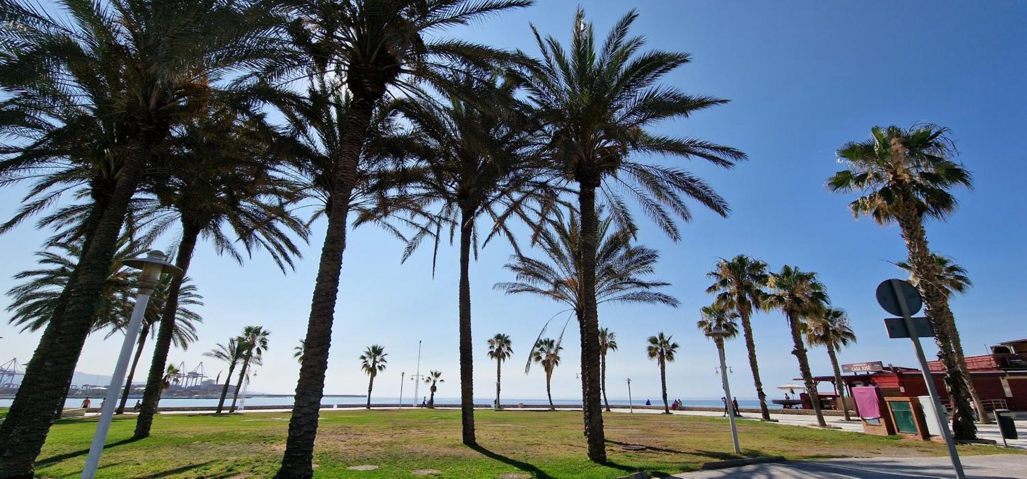 Paloma Beach Málaga Exterior foto